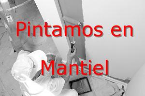 Pintor Guadalajara Mantiel